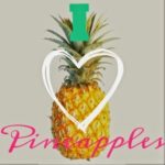 Pineapples DIY + Fav Finds!